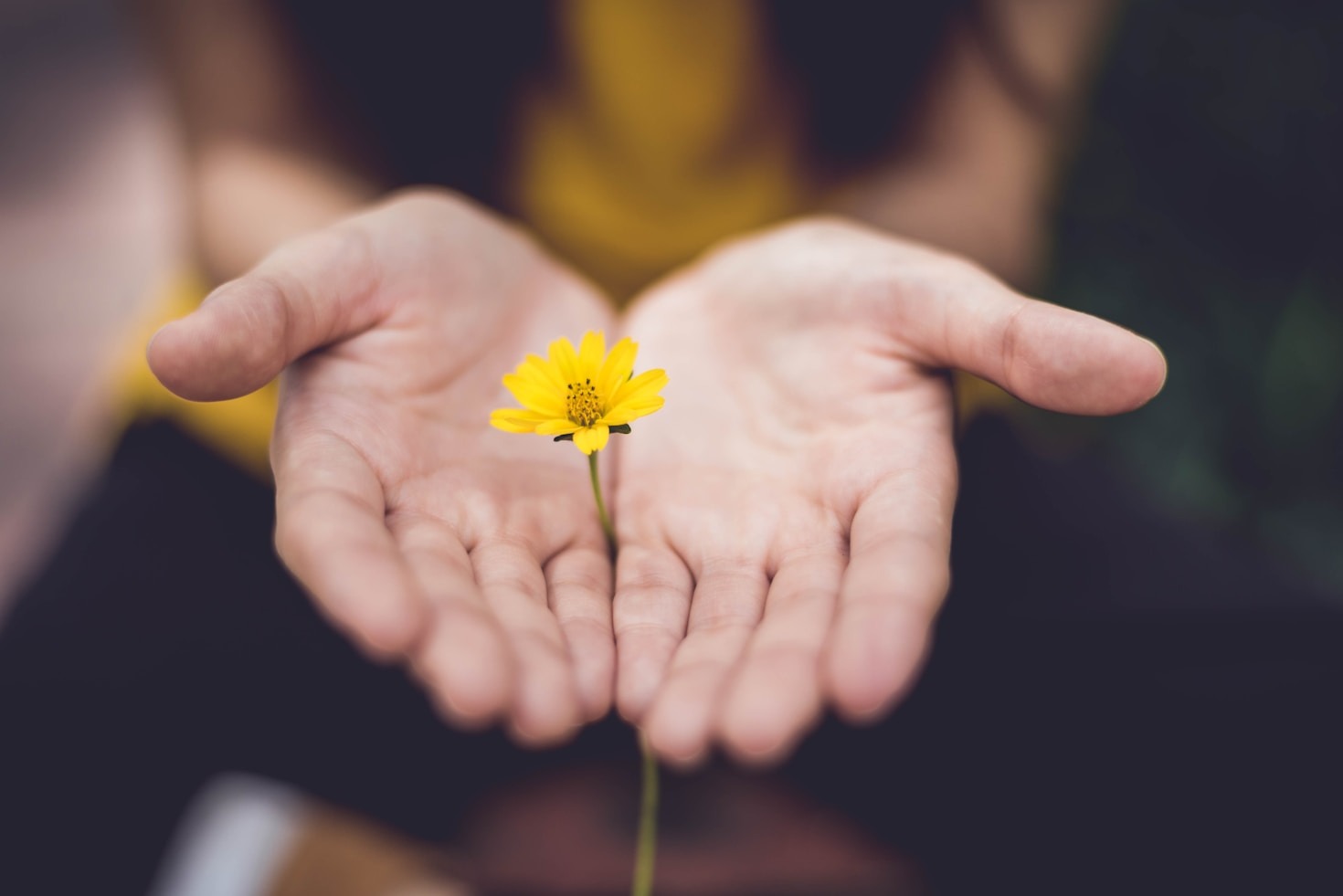 Exploring the Art of Meditation and Expression
